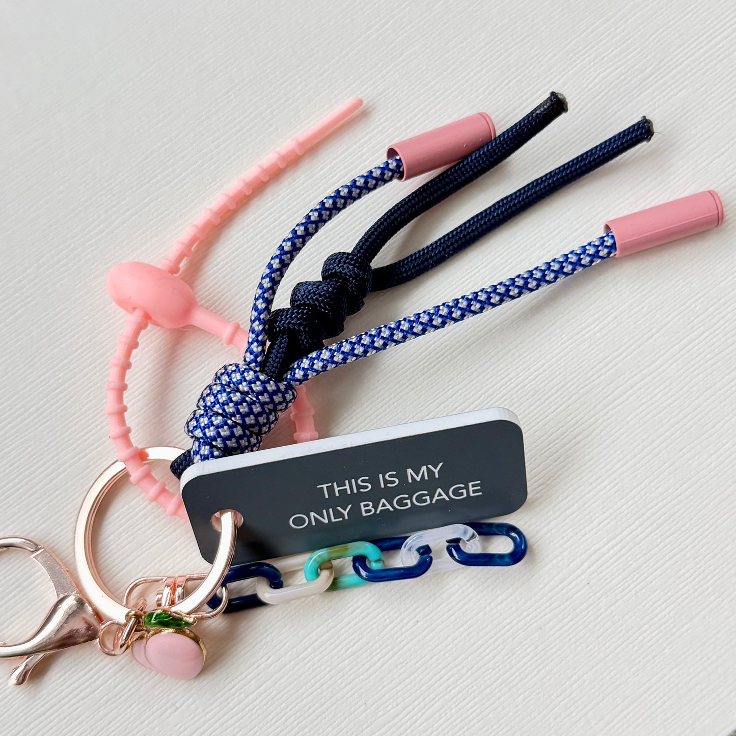 THIS IS MY ONLY BAGGAGE(Remix!)