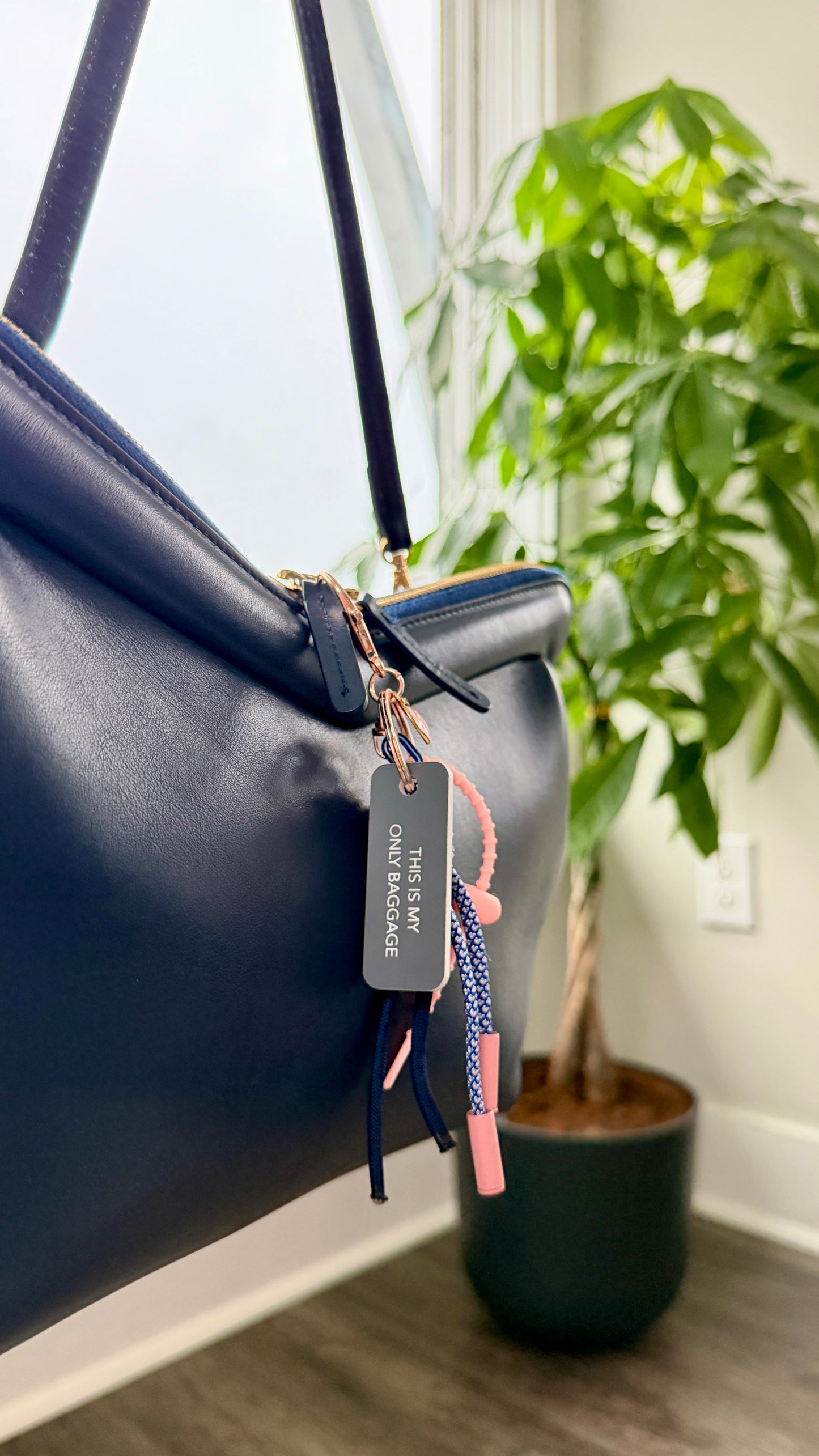 THIS IS MY ONLY BAGGAGE(Remix!)