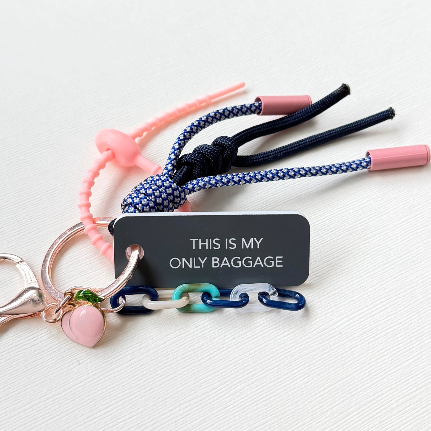 THIS IS MY ONLY BAGGAGE(Remix!)