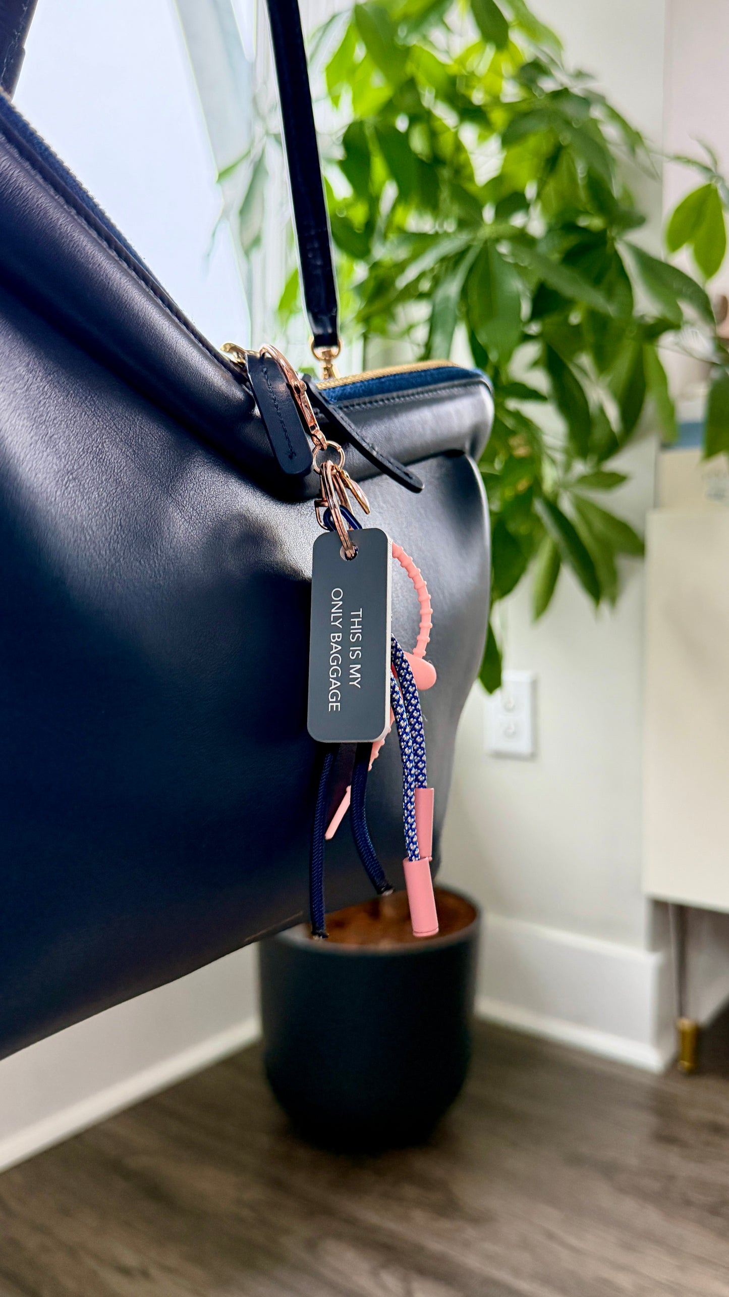 THIS IS MY ONLY BAGGAGE(Remix!)